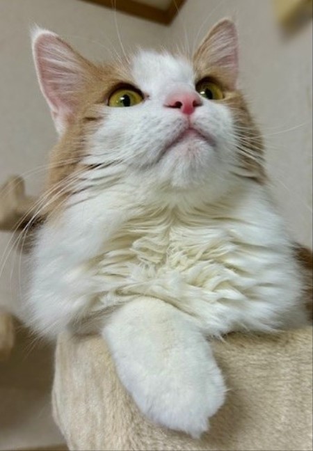 7c032717-bbe3-4d0a-9b02-f30bb3e63753