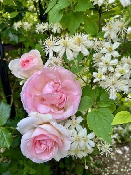 thumbnail_IMG_8675 (1)