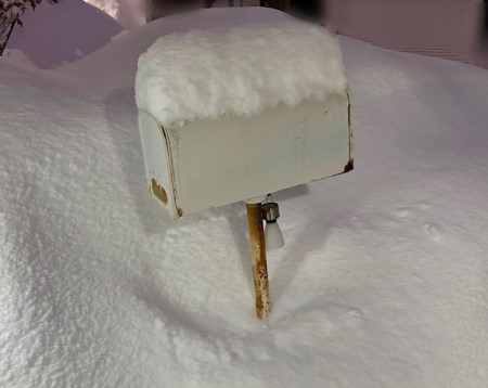 8cfaa94f-a333-4008-8289-0a6e323fccea