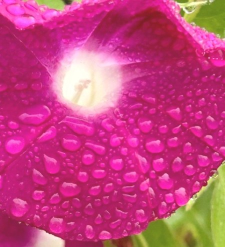 thumbnail_IMG_1165