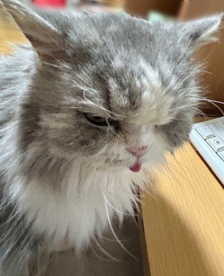 3c4d4097-777e-4a98-bbc3-d76ca4f9a63c