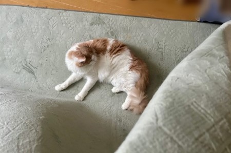 thumbnail_IMG_9327 (2)