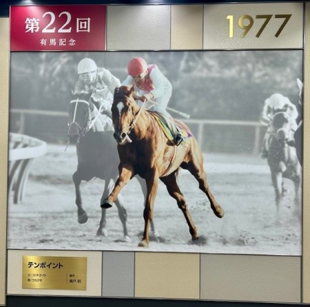 thumbnail_IMG_6569 (2)