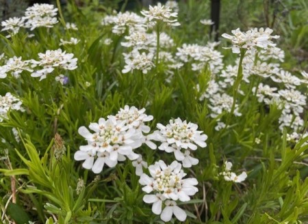 thumbnail_IMG_0291