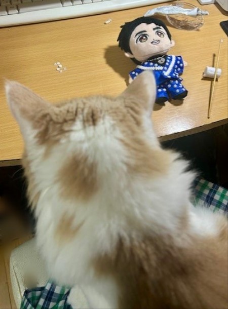 thumbnail_IMG_3244 (1)