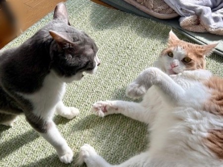 d908a0a6-229d-467e-b9ef-0709155ed502