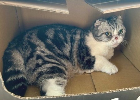 thumbnail_IMG_2451 (1)