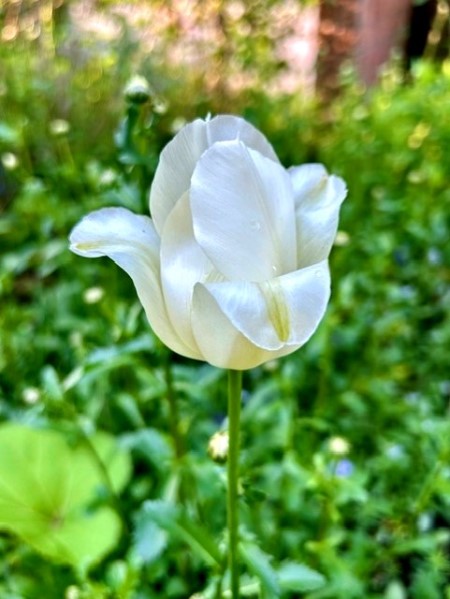 thumbnail_IMG_6751 (1)