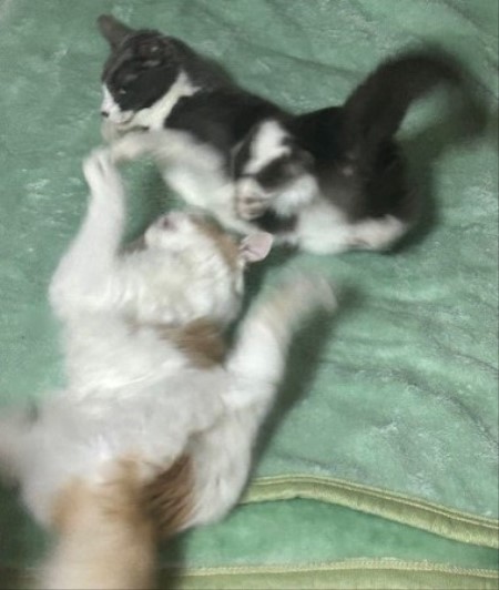 thumbnail_IMG_3143 (1)