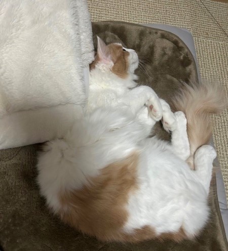 thumbnail_IMG_0621 (2)