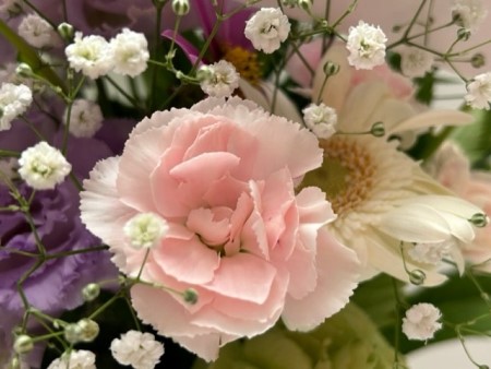 thumbnail_IMG_5756