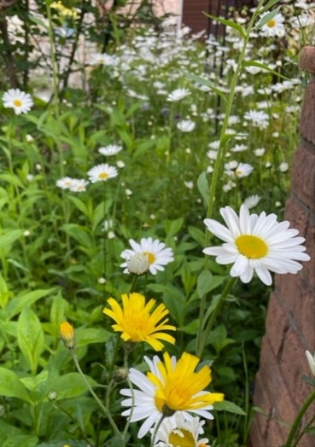 thumbnail_IMG_2125