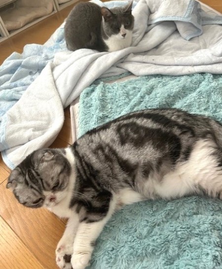 thumbnail_IMG_1652 (1)