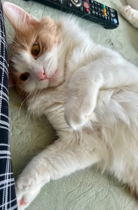 thumbnail_IMG_3602 (1)