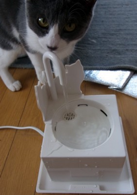 「猫だらけ」