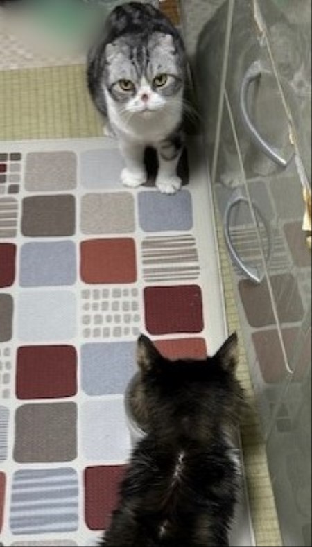 thumbnail_IMG_7938 (1)