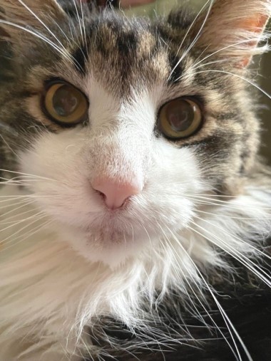IMG_3339