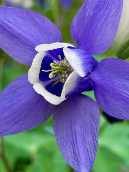 thumbnail_IMG_7163 (1)