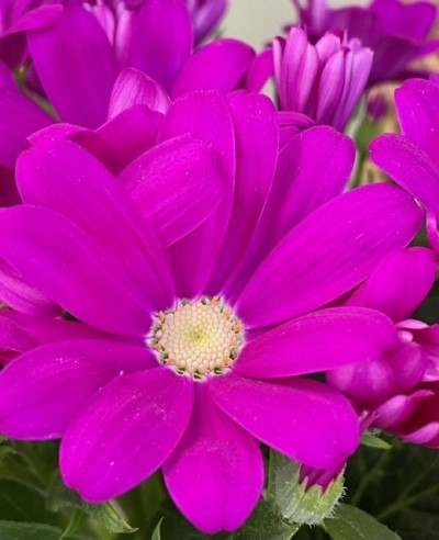 thumbnail_IMG_8104