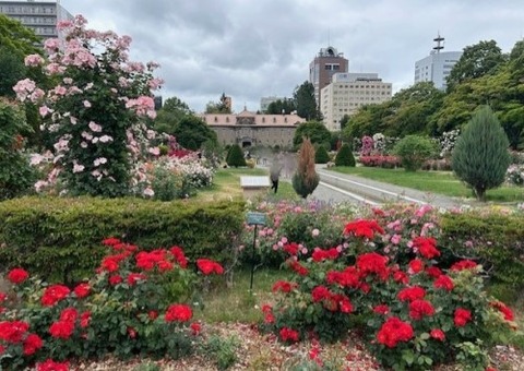 thumbnail_IMG_2039 (1)