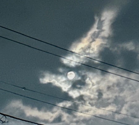 thumbnail_IMG_4420 (1)