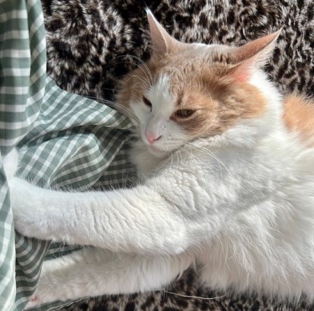 thumbnail_IMG_8628 (1)