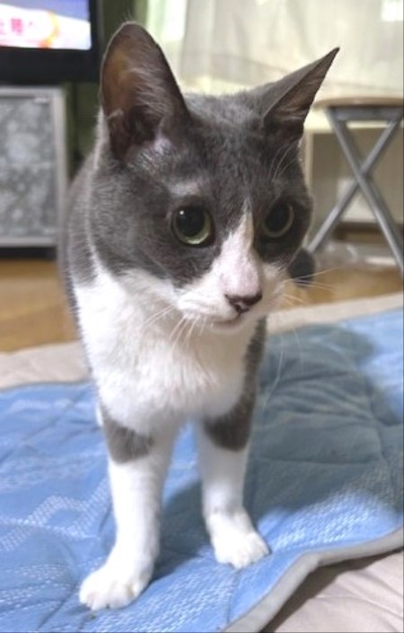 thumbnail_IMG_4592 (1)