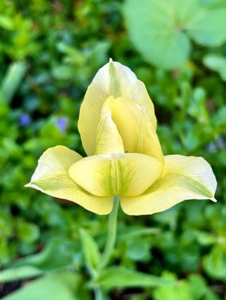 thumbnail_IMG_6132 (1)