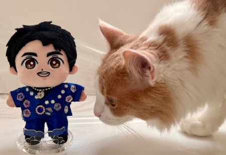 thumbnail_IMG_3208 (1)