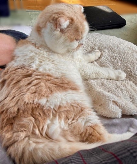 76908e54-d494-4263-b509-47526a628c9f