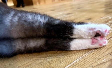 7a7c29e6-7558-4f19-aa96-636c11db5eba