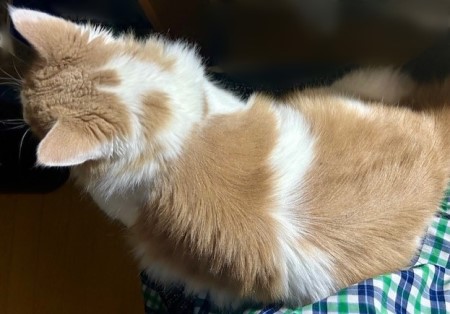 thumbnail_IMG_4485 (1)