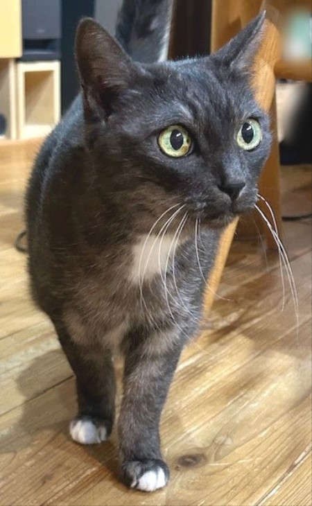 c9d32d35-094c-4539-b188-afb373dd488e