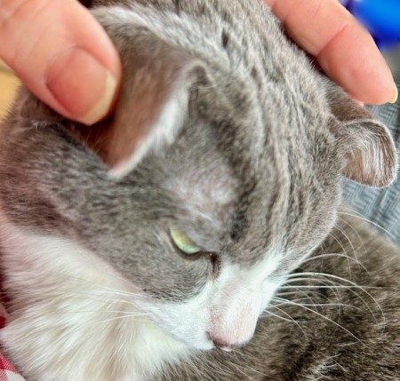 thumbnail_IMG_8479 (2)