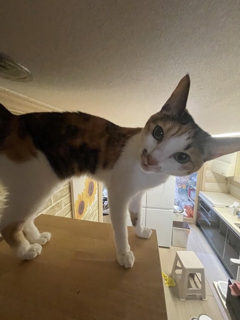 KakaoTalk_20250609_172755642_02