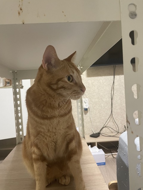 KakaoTalk_20231130_204042285_03