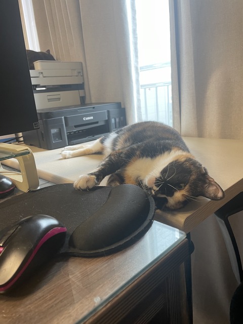 KakaoTalk_20240621_095243911_15