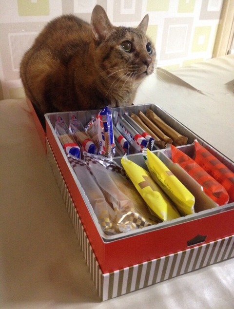 KakaoTalk_20210707_100827178