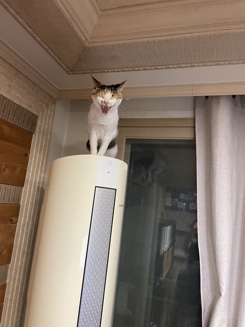 KakaoTalk_20240122_114856726_04