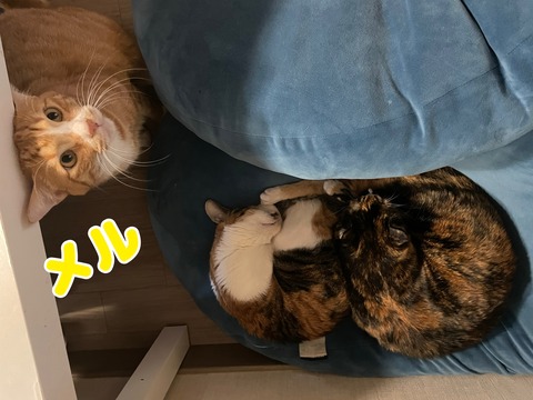 KakaoTalk_20240127_125330034