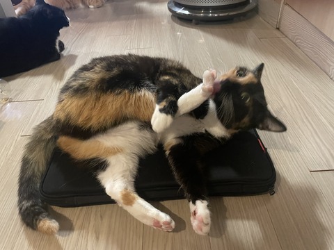 KakaoTalk_20250623_192932703_09