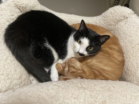 KakaoTalk_20240104_113552581_02