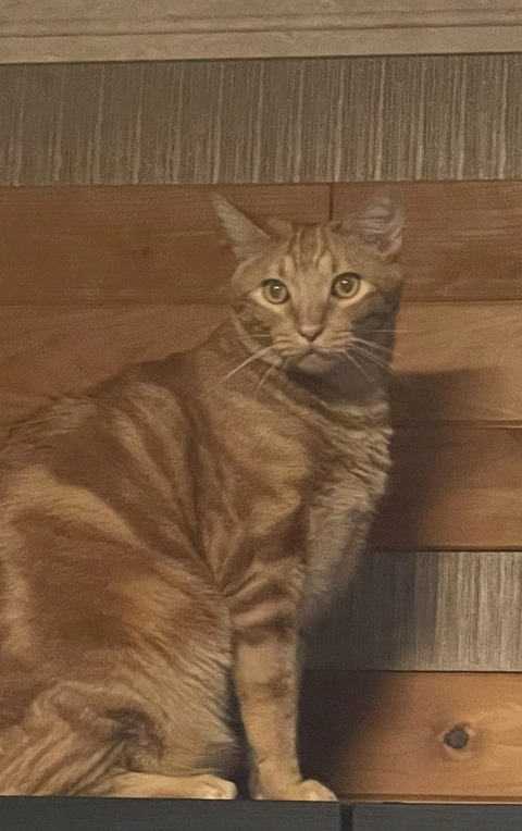 KakaoTalk_20250613_220528748_03