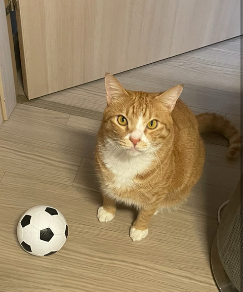 KakaoTalk_20250907_211617086