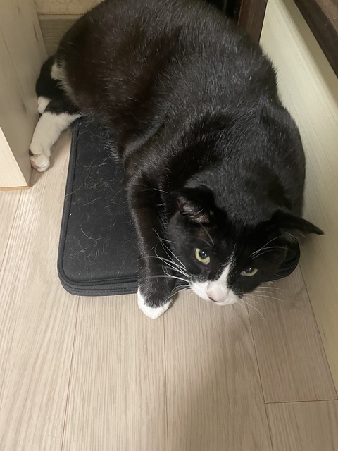 KakaoTalk_20250729_194729146_13