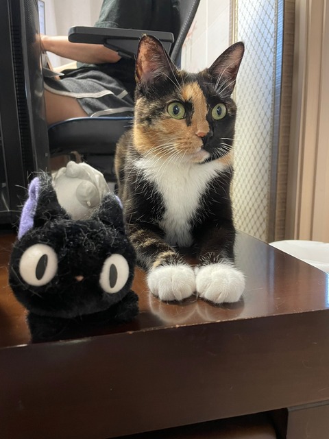 KakaoTalk_20240621_095332747_09