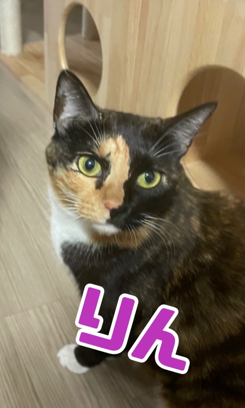 KakaoTalk_20221114_135401302