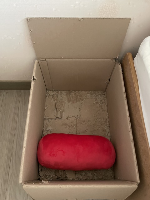 KakaoTalk_20240122_111222517