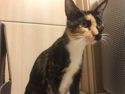KakaoTalk_20200930_113624001_02