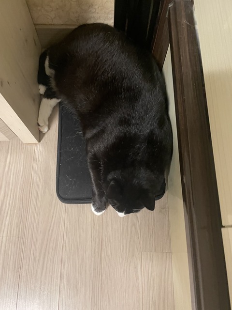 KakaoTalk_20250729_194729146_12